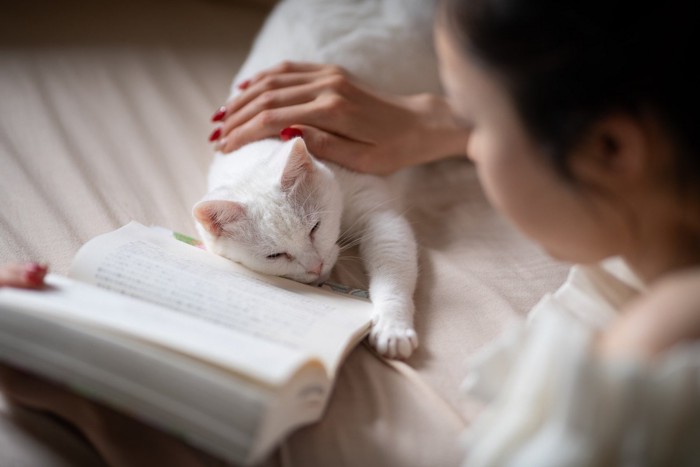 読書をしている女性と猫