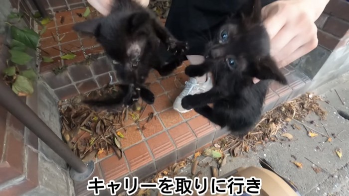 「キャリーを取りに行き」のテロップ写真