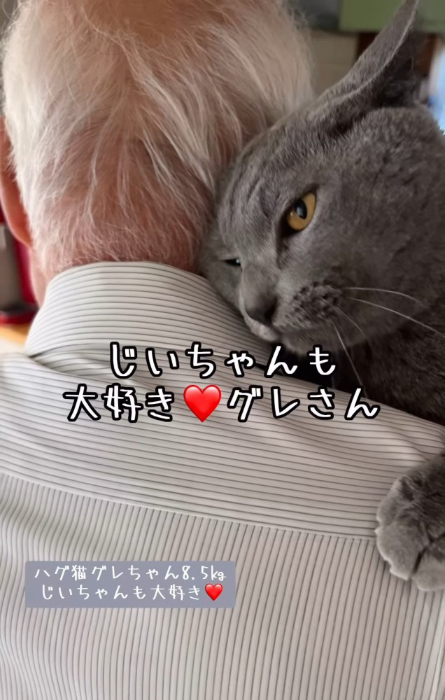 人の首に顔をつける猫