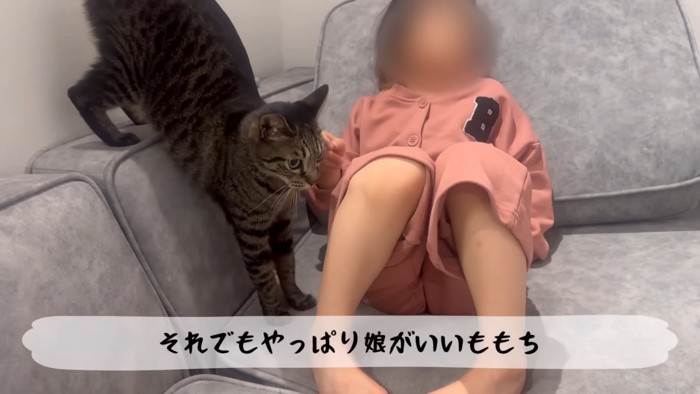 テロップ「それでもやっぱり～」