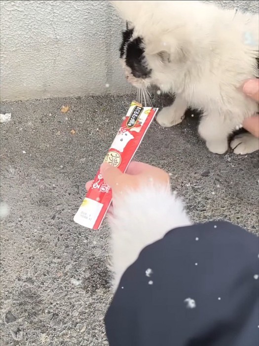 おやつ持った人の手に