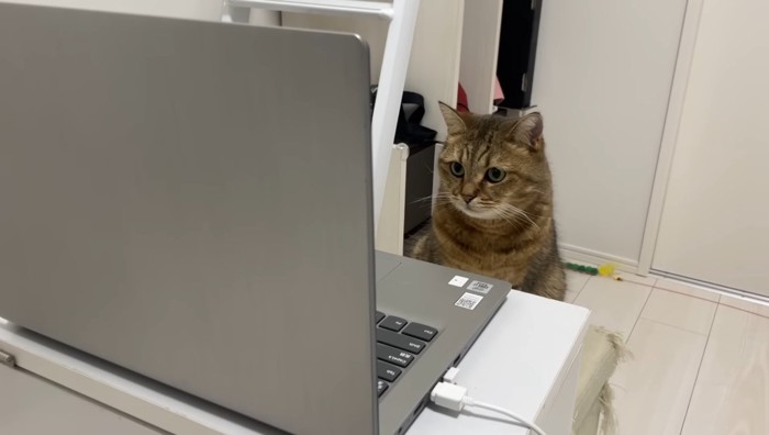 パソコンの前に