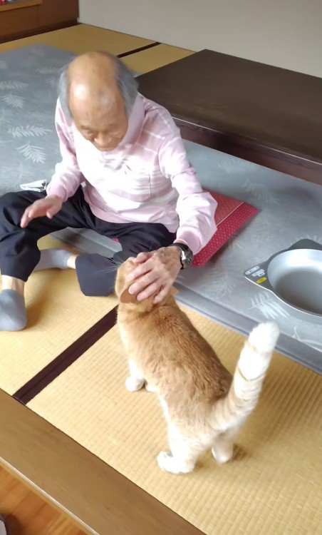 猫をなでるおじいちゃん