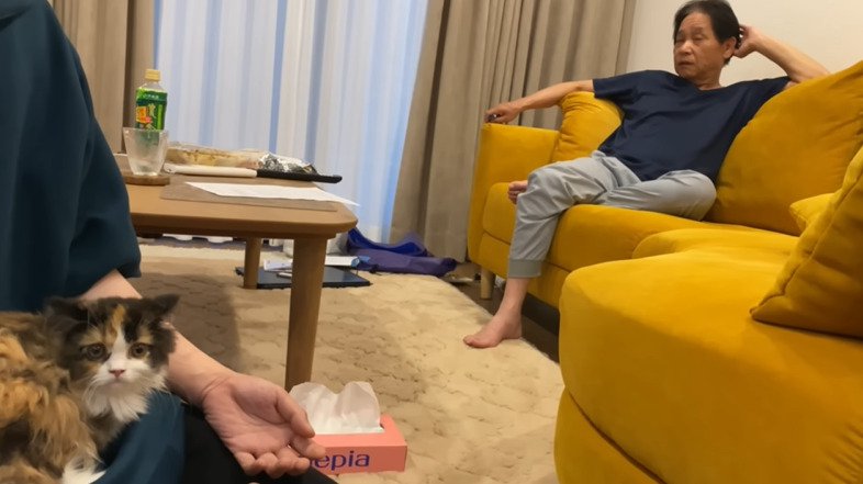 子猫を見るお父さん