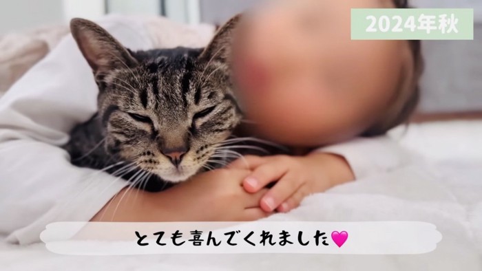 女の子に抱きしめられるキジトラ猫