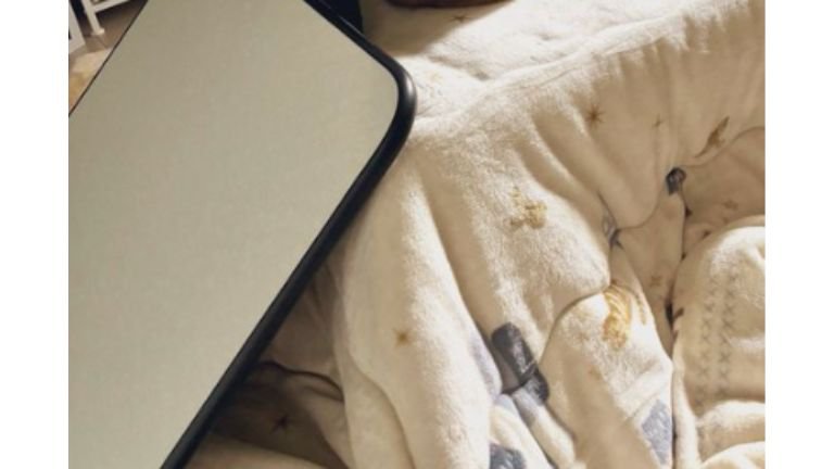 こたつに乗っている猫たち