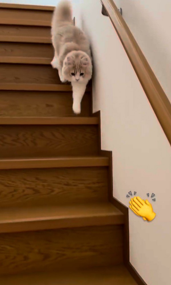 拍手の絵文字の写真