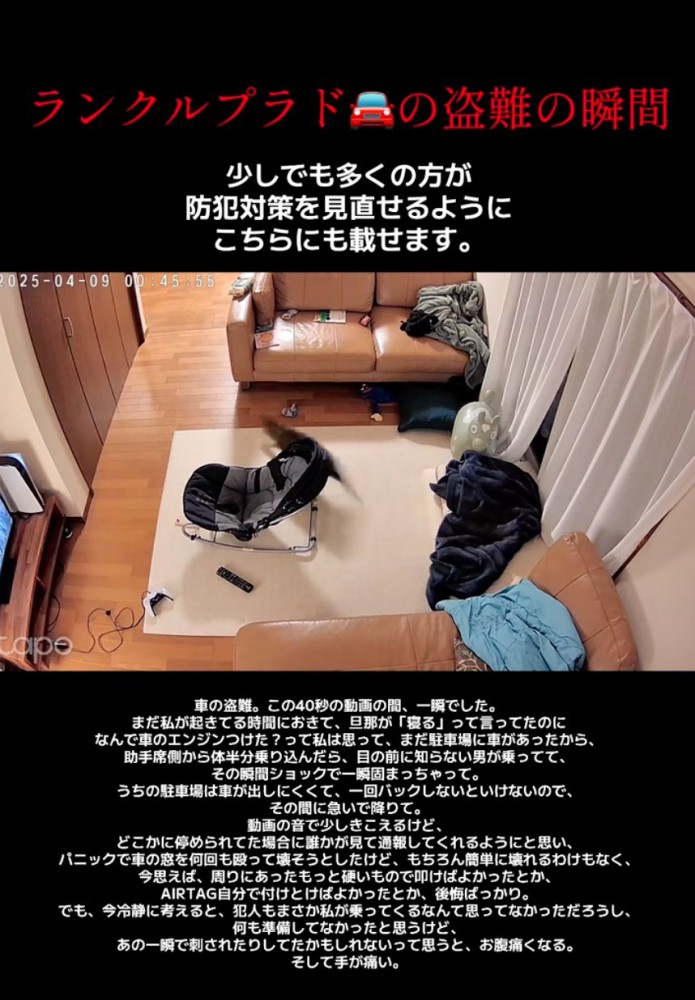 焦り出す猫たち