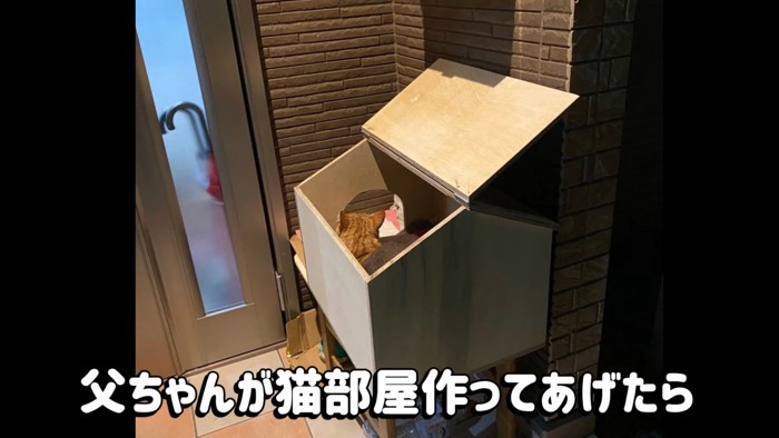 箱の中にいる猫