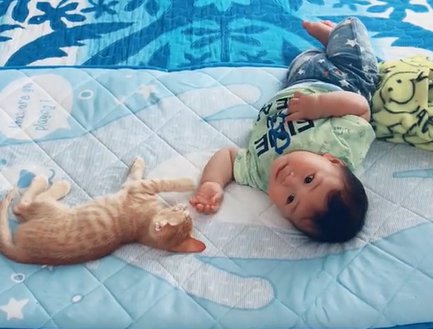 左手を赤ちゃんに伸ばす猫