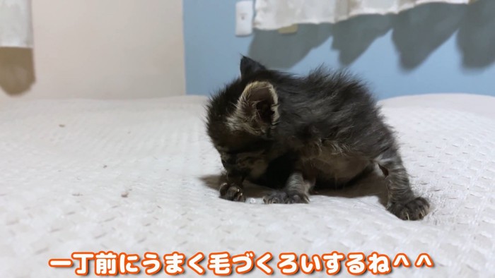 テロップ「一丁前に~」