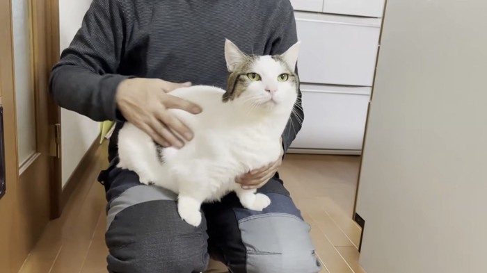 お父さんの両膝に乗り、なでてもらう豆大福くん