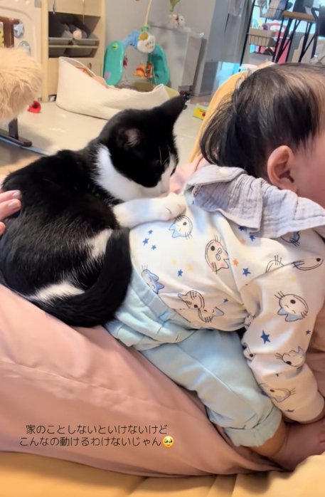 赤ちゃんの背中を至近距離から見つめている猫