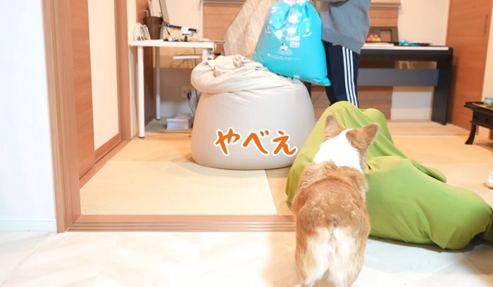 ドン引きする犬