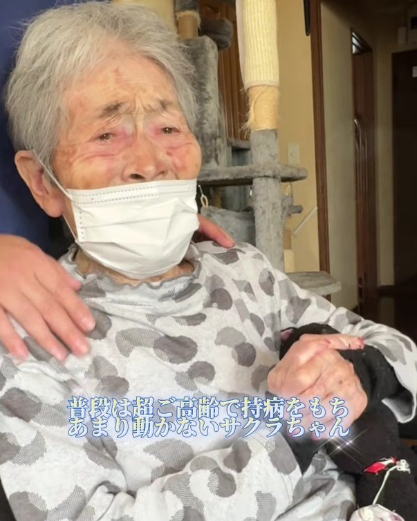 車椅子のおばあちゃん