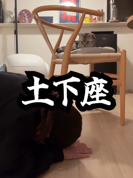 猫に土下座する人