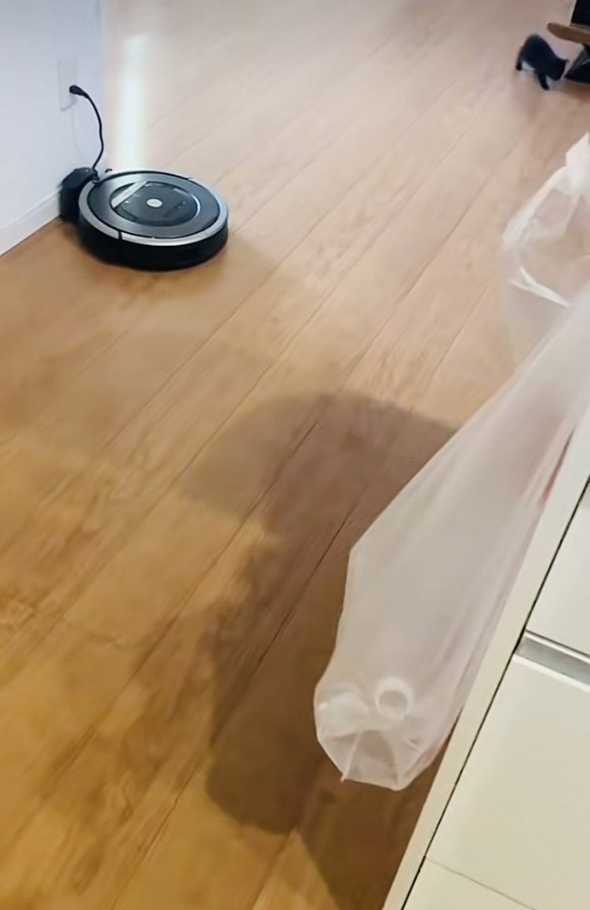 リビングを歩く赤ちゃん猫