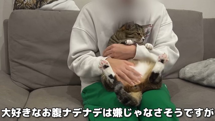 なでてもらいご満悦なほたて