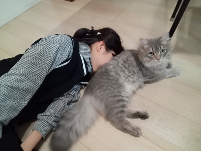 猫の背中に顔をつける女の子