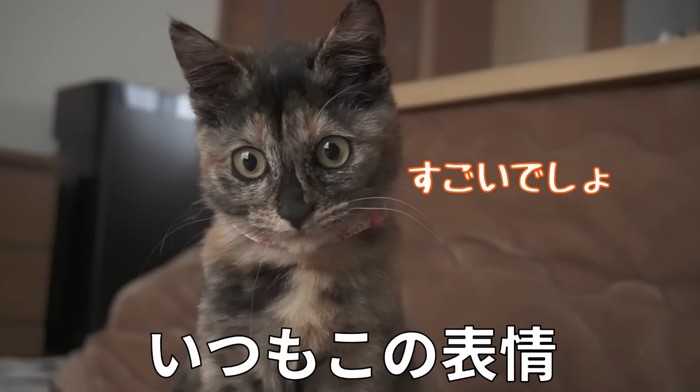 いつもこの表情