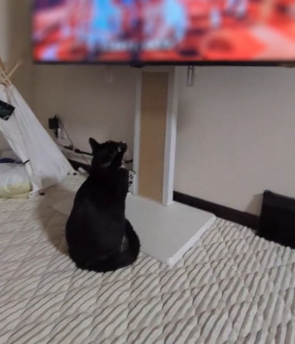 座ってみてる銀兵衛くん