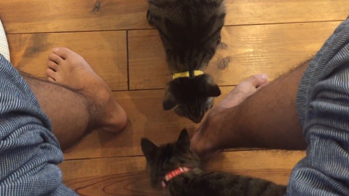 足の匂いを嗅ぐふたり