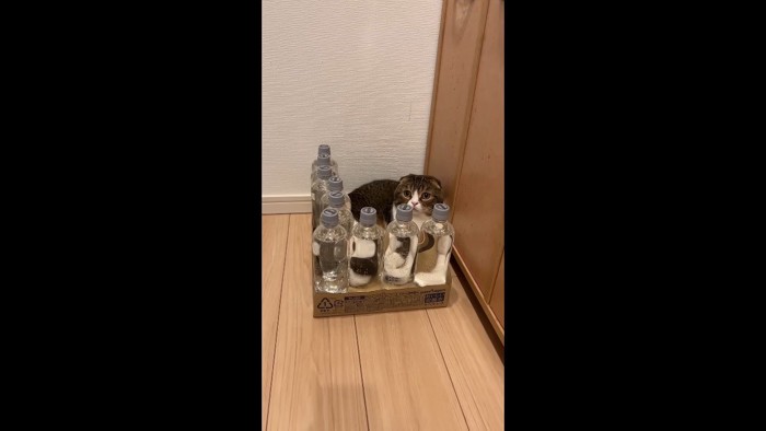少し下から