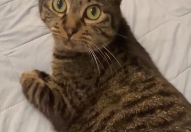 いろはちゃんアップ