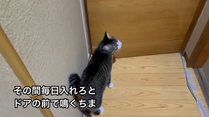 テロップ「その間毎日～」