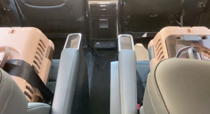 ハウスの中で鳴く猫たち