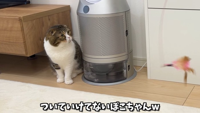 ついていけてない