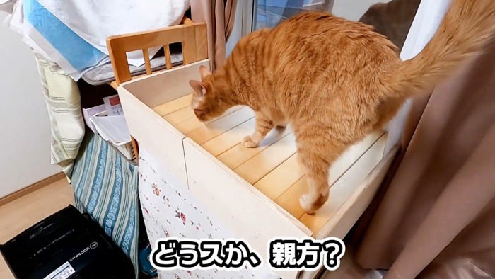 どうスか、親方？