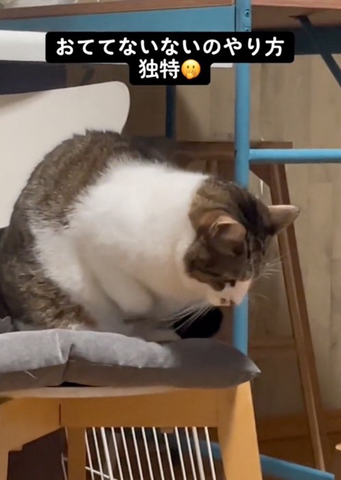 左前脚を胸元にたたむ