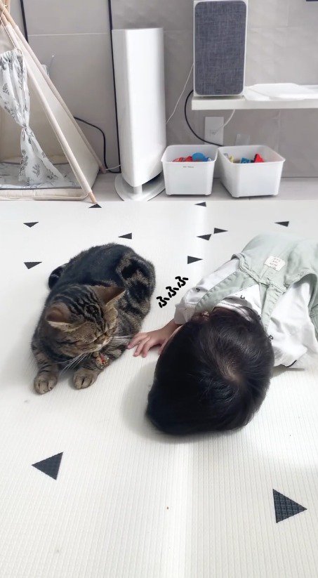 猫に顔を近づけられて笑顔になる赤ちゃん
