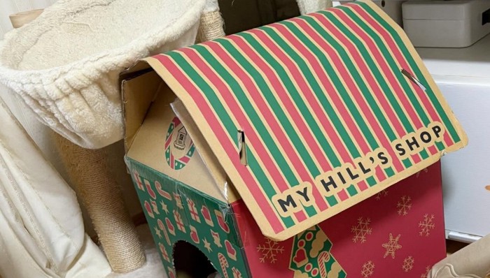 段ボールのキャットハウス