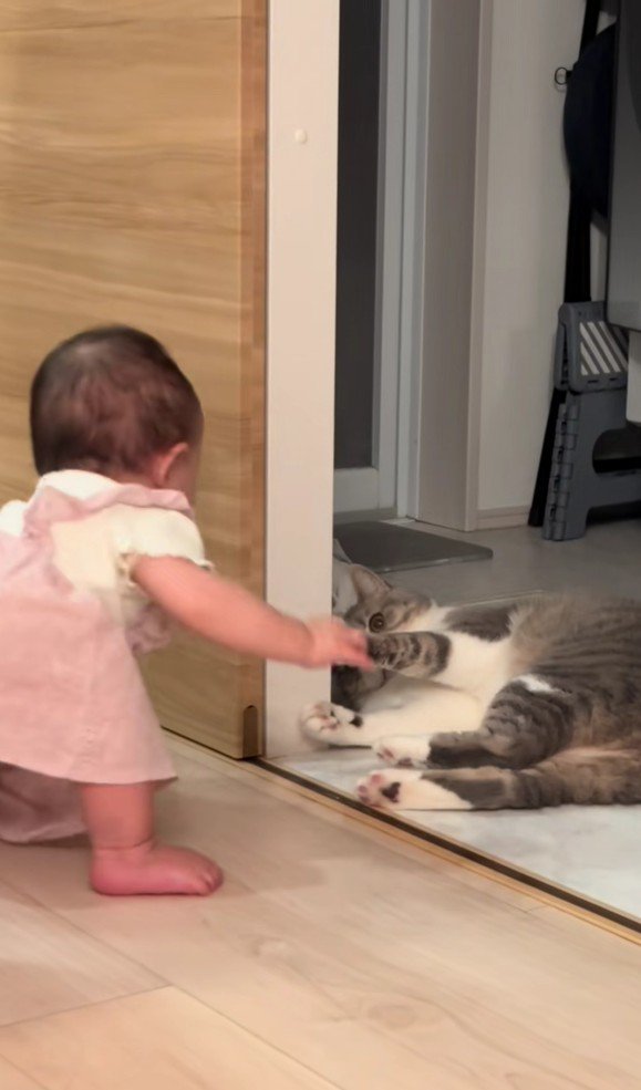 立ち上がる猫と見ている赤ちゃん