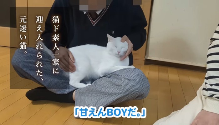 甘えんBOYだ