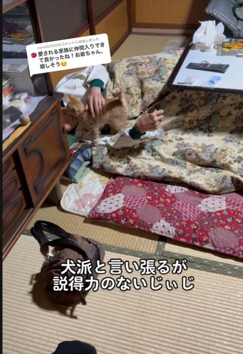 しっぽがぴーんとなってる子猫ちゃん