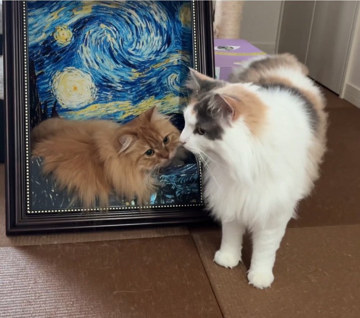 立ち止まる猫と見つめる猫