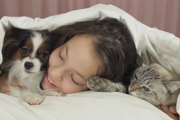 女の子と愛犬と眠い猫