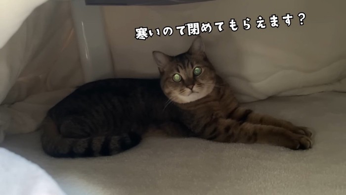 寒いので閉めてもらえます？