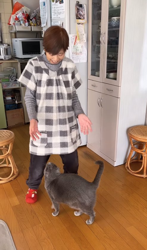 おばあちゃんの足元でアイコンタクトをとる猫