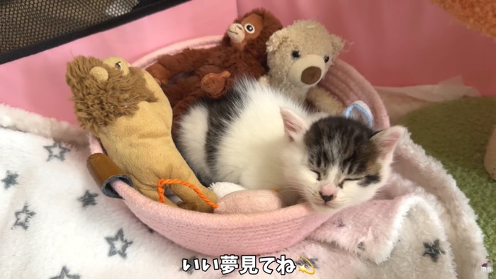 テロップ「いい夢見てね」