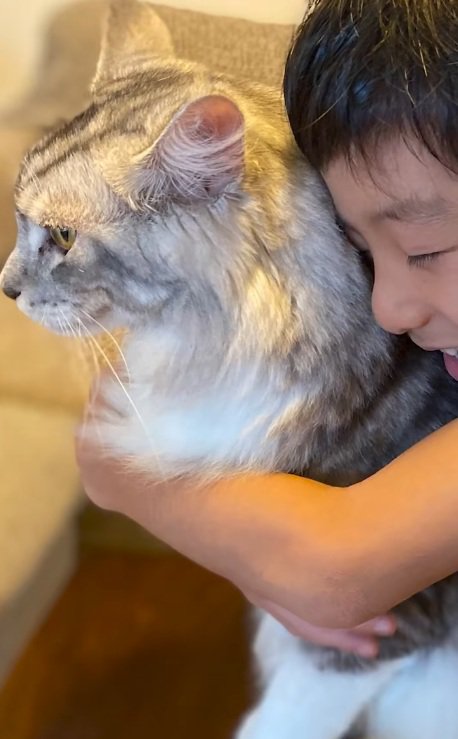 メインクーンに抱きつく男の子