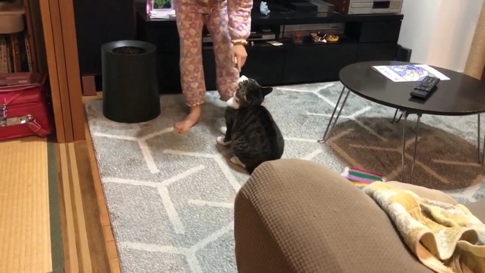 部屋 鼻先に指を近づける子供