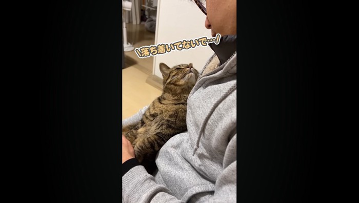 落ち着いてないで