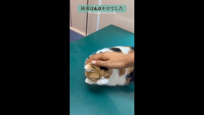 体重は4キロでした