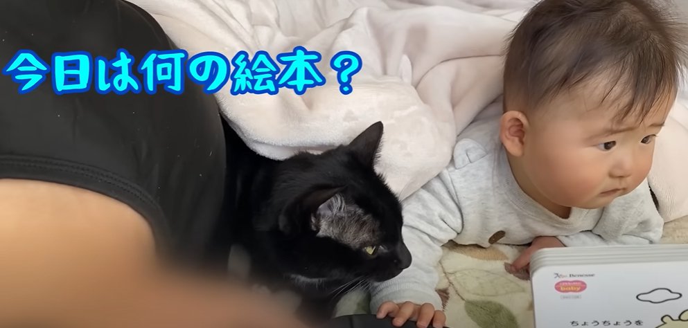 絵本を見る赤ちゃんと猫（今日は何の絵本？）