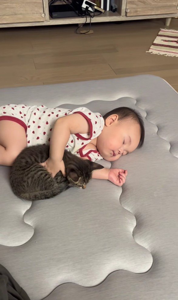 寝ている赤ちゃんと子猫