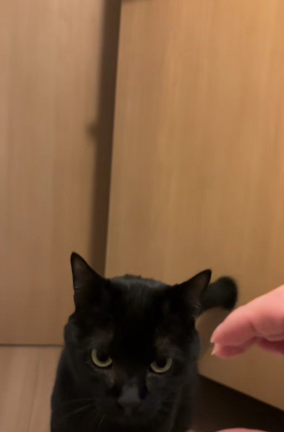 手で作った半分ハートと虎徹くん